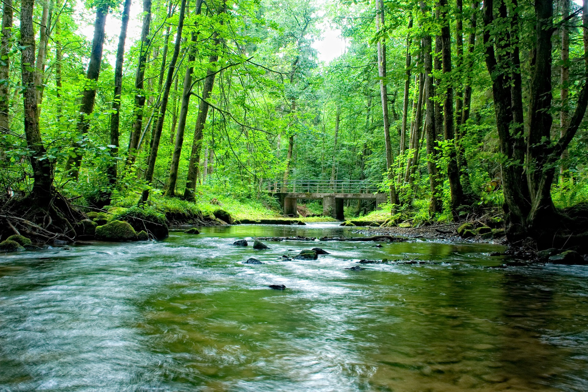 Herrlicher Naturpark Frankenwald